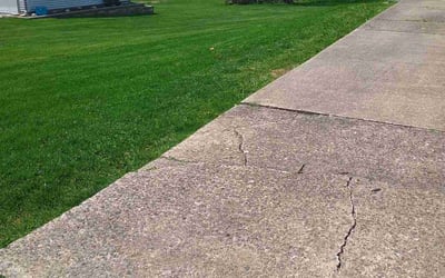 Photo of Alexia S.'s yard after getting lawn care in Charleroi, PA