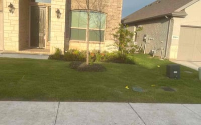 Photo of Jeanette A.'s yard after getting lawn care in Argyle, TX