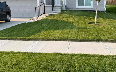 Photo of Chan B.'s yard after getting lawn care in Jeffersonville, IN