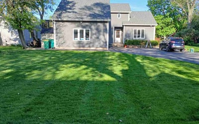 Photo of Ann B.'s yard after getting lawn care in Middletown, CT