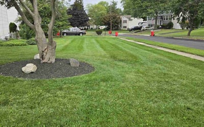 Photo of Chris s.'s yard after getting lawn care in Warminster, PA