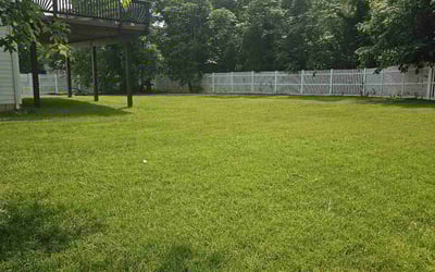 Photo of Isaiah V.'s yard after getting tree care in Front Royal, VA