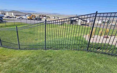 Photo of Paul M.'s yard after getting lawn care in Hicksville, NY