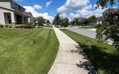 Photo of Ingrid H.'s yard after getting lawn care in Groveland, FL