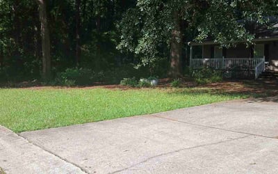 Photo of Alex S.'s yard after getting lawn care in Palatine, IL