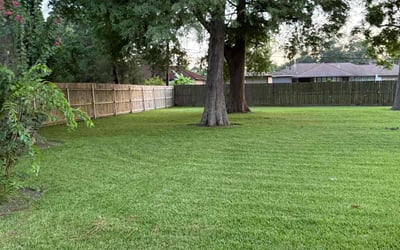Photo of Kenneth H.'s yard after getting lawn care in Lehigh Acres, FL