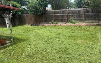 Photo of Mark S.'s yard after getting lawn care in Middletown, NY