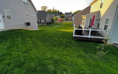 Photo of Amira H.'s yard after getting lawn care in York, PA