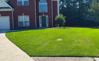 Photo of Yokasta D.'s yard after getting lawn care in Pittston, PA