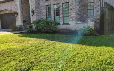 Photo of Joshua H.'s yard after getting lawn care in Yonkers, NY