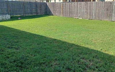 Photo of Karla L.'s yard after getting lawn care in Del Valle, TX