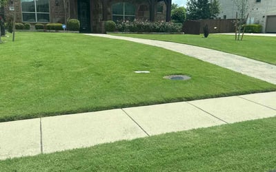 Photo of Willie T.'s yard after getting lawn care in Butler, PA