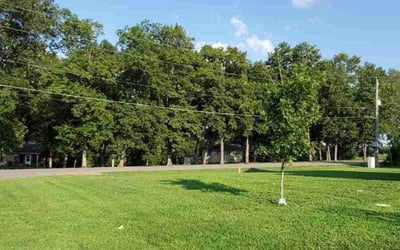 Photo of Brian M.'s yard after getting lawn care in La Vergne, TN