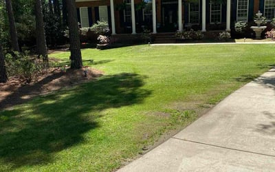 Photo of Leah B.'s yard after getting lawn care in Sunset Beach, NC