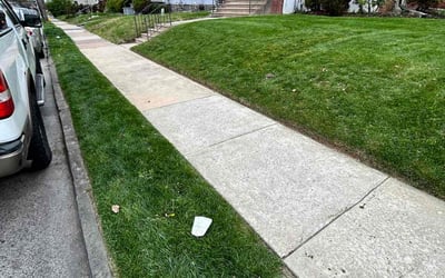 Photo of Mike R.'s yard after getting lawn care in Clifton Heights, PA