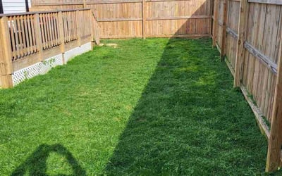 Photo of Casey D.'s yard after getting lawn care in Richmond, VA