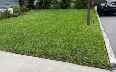 Photo of Clare R.'s yard after getting lawn care in Franklin, IN