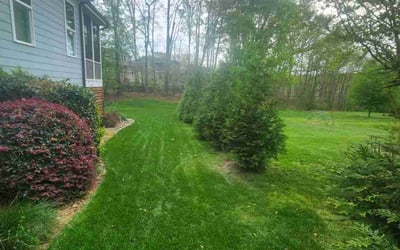 Photo of Tricia E.'s yard after getting lawn care in Smithfield, NC