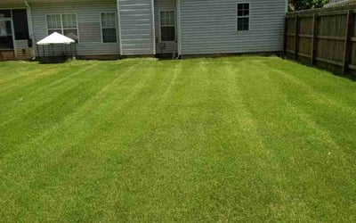 Photo of Susanna R.'s yard after getting lawn care in Portland, TN