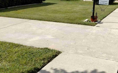 Photo of Michael N.'s yard after getting lawn care in Naples, FL