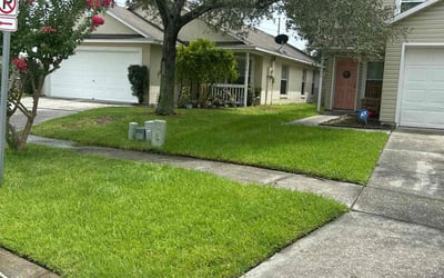 Photo of Tsheko M.'s yard after getting lawn care in Saugus, MA