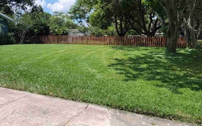 Photo of Victor R.'s yard after getting lawn care in Laguna Hills, CA