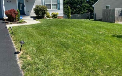 Photo of Joselle W.'s yard after getting lawn care in Hagerstown, MD