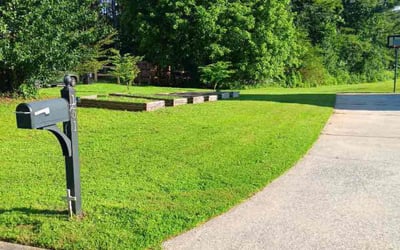 Photo of Yamil O.'s yard after getting lawn care in Lady Lake, FL