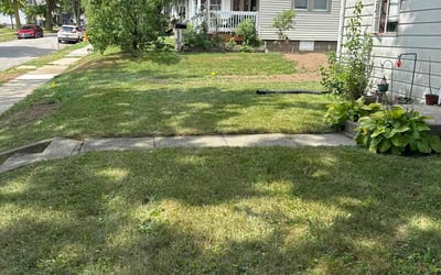 Photo of Kelsey M.'s yard after getting lawn care in Black Mountain, NC