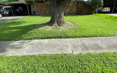 Photo of Nakaya W.'s yard after getting lawn care in Morganville, NJ