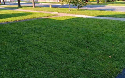 Photo of DEREK A.'s yard after getting lawn care in Victor, NY