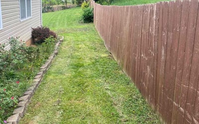 Photo of Rebecca W.'s yard after getting lawn care in Johnson City, TN