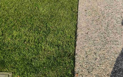 Photo of James Z.'s yard after getting lawn care in Santa Clara, CA