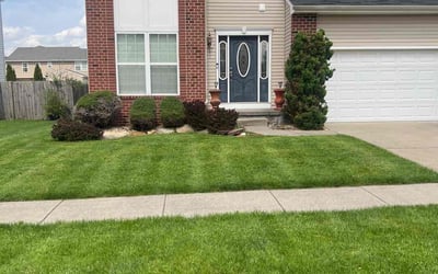 Photo of John P.'s yard after getting lawn care in North Ridgeville, OH