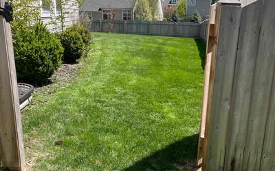 Photo of Margaret T.'s yard after getting lawn care in Batavia, IL