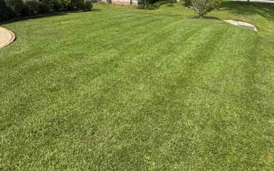 Photo of Mckenna W.'s yard after getting lawn care in Tonawanda, NY
