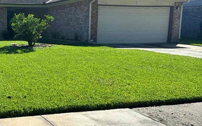 Photo of Georgianne G.'s yard after getting lawn care in Cloverleaf, TX