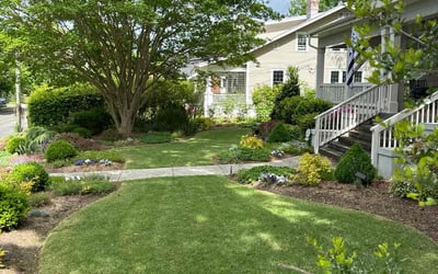 Photo of Earlene B.'s yard after getting lawn care in Durham, NC