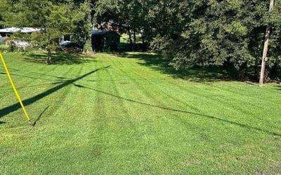 Photo of Hannah W.'s yard after getting lawn care in Chattanooga, TN