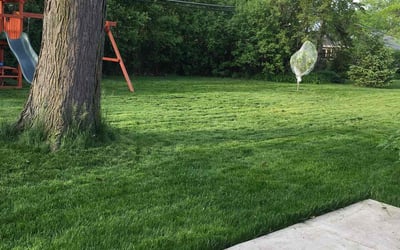 Photo of Ted B.'s yard after getting lawn care in Park Ridge, IL