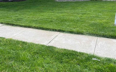 Photo of David T.'s yard after getting lawn care in Zionsville, IN