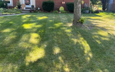 Photo of Robin D.'s yard after getting lawn care in Oxford, MI