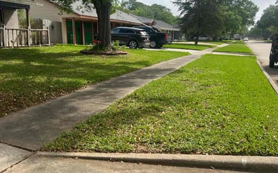 Photo of Catherine H.'s yard after getting lawn care in Napa, CA