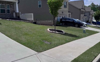 Photo of Oksana H.'s yard after getting lawn care in Lawrenceville, GA