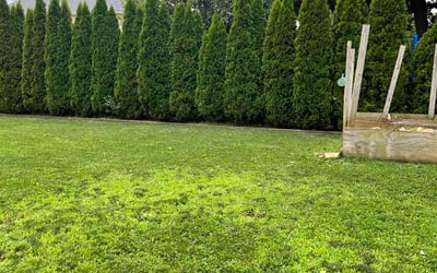 Photo of Sean I.'s yard after getting lawn care in Jamaica, NY