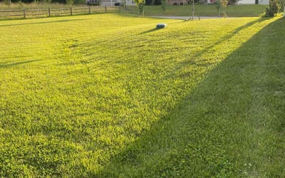 Photo of Philip W.'s yard after getting lawn care in Clinton, MD