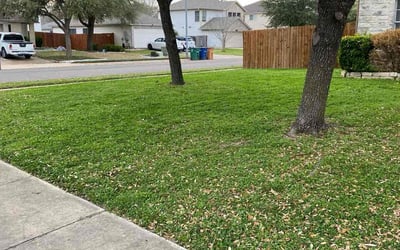 Photo of Jason F.'s yard after getting lawn care in La Crosse, WI