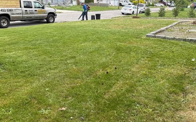 Photo of Nikeshia L.'s yard after getting lawn care in Bothell West, WA