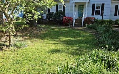 Photo of Sheri M.'s yard after getting lawn care in Midlothian, VA