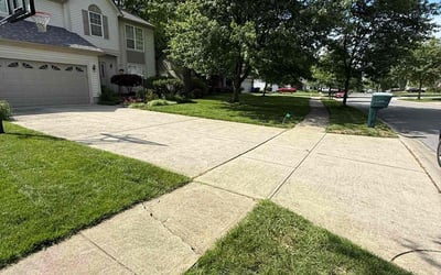 Photo of Shiney V.'s yard after getting lawn care in Ashville, OH